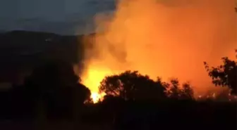 Balıkesir'de Yangın Ormanlık Alana Sıçradı