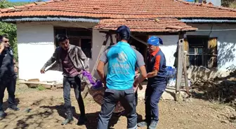 Muğla'da Şiddetli Rüzgarla Büyüyen Orman Yangını, Köyceğiz'de Mahalleler Boşaltıldı