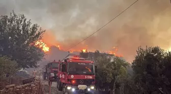 Alanya'da Orman Yangını: Havadan ve Karadan Müdahale Sürüyor