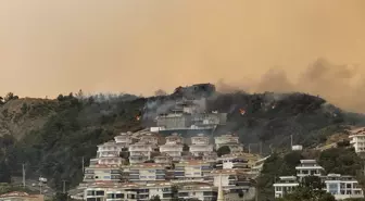 Alanya'da Yangın: 50'ye Yakın Villa Tahliye Edildi