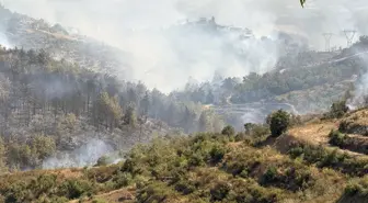 Alanya'da Yangınla Mücadele Devam Ediyor