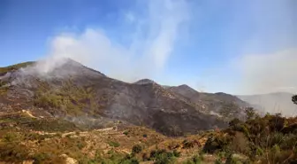 Alanya'daki orman yangınında 2'nci gün (5)