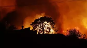Alanya orman yangını söndürüldü mü, devam ediyor mu? Alanya orman yangını son durum ne?