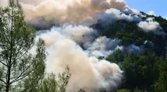Muğla'da Orman Yangını: Şiddetli Rüzgar Ekipleri Zorluyor