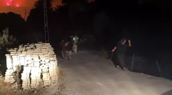 Alanya'da Orman Yangını: Yerleşim Yerleri Tahliye Edildi