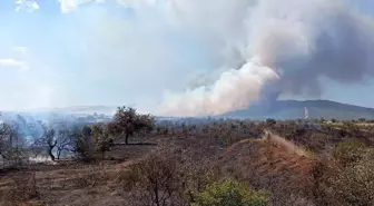 Çanakkale Gelibolu'da Tarım Arazisinde Yangın Çıktı