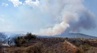 Çanakkale'de Tarım Arazisinde Yangın Çıktı