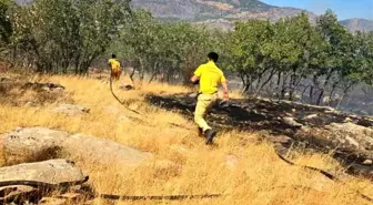 Diyarbakır'da Orman ve Örtü Yangını Kontrol Altına Alındı