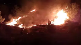 Mersin'de Düğün Alanında Yangın Çıktı, Ekipler Hızla Müdahale Etti