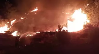 Silifke'deki Düğün Yangını Kontrol Altına Alındı