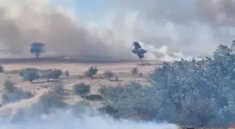 Edirne'de Buğday Tarlasında Yangın Çıktı