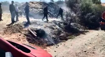 Elazığ'da Otluk Alanda Yangın Kontrol Altına Alındı