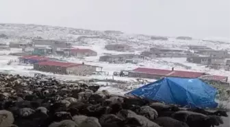 Erzurum'un Nügürcük Köyü Yaylası Karla Kaplandı