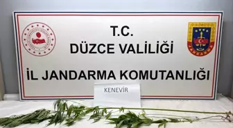 Düzce'de Uyuşturucu Operasyonu: Kubar Esrar ve Kenevir Ele Geçirildi