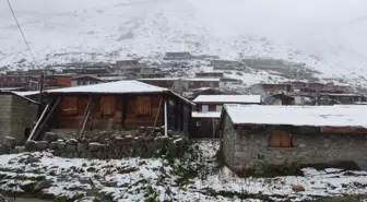 Kar erken geldi, çobanlar sürülerini güvenli bölgelere indiriyor