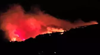 Köyceğiz'de Orman Yangınına Müdahale Ediliyor