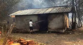 Muğla'da Orman Yangını Yerleşim Yerlerini Tehdit Ediyor