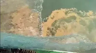 Marmara Denizi'nde Müsilaj Tehdidi Balıkçıları Endişelendiriyor