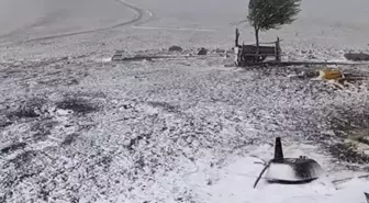 Mevsimin ilk karı o ilimize düştü, her yer beyaza büründü