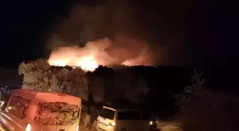 Muğla'nın Milas İlçesinde Orman Yangını: Ekipler Müdahale Ediyor