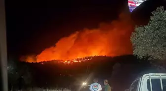 Muğla'nın Kıyıkışlacık Mahallesi'nde Orman Yangını Çıkdı