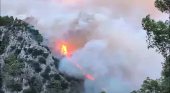 Muğla'da Orman Yangınlarıyla Mücadele Başladı