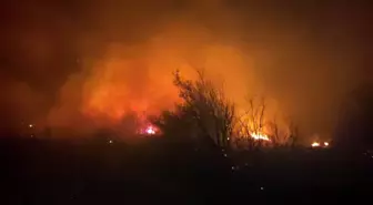 Osmaniye'de Makilik Alanda Yangın Kontrol Altına Alındı