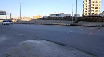 Hatay'da Trafikte Kaçan Buzağı Sürücülere Zor Anlar Yaşattı