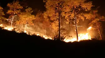 Antalya Alanya'da Orman Yangınlarıyla Mücadele Sürüyor