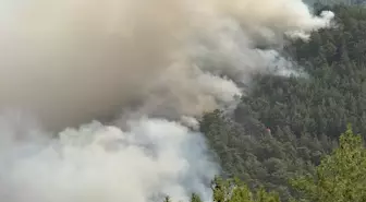 Antalya'da Yangın Kontrol Altında, Mücadele Devam Ediyor