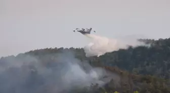 Alanya'daki Orman Yangınlarıyla Mücadele Devam Ediyor