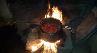 Aydıntepe'de Kadınlar Kışlık Salça Hazırlığına Devam Ediyor
