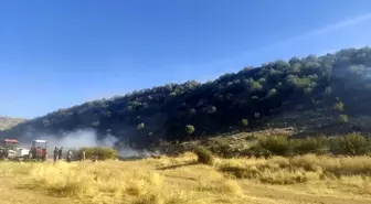 Diyarbakır Hani'de Anız Yangını Ormanlık Alana Sıçradı