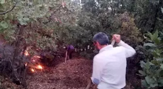 Elazığ'da Orman Yangını Vatandaşların Müdahalesiyle Söndürüldü