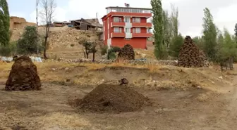 Erzincan'da Kış İçin Tezek Hazırlığı Başladı