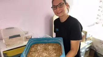Simay Gün, Doğal Yöntemlerle Hayvan Sağlığını Koruyor