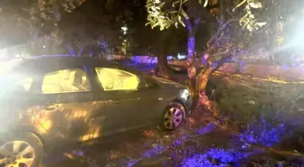 Erdek'te Kontrolden Çıkan Otomobil Zeytin Bahçesine Girdi: 1 Yaralı