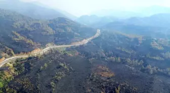Köyceğiz Orman Yangınında Geriye Kalan Acı Manzara