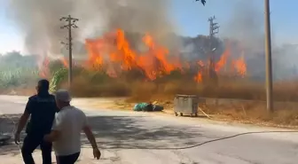 Manavgat'ta Sazlık Alanında Yangın: 5,5 Dönüm Zarar Gördü