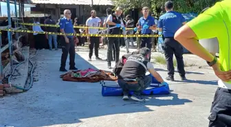 Aydın'da Süt Kamyonu Kazası: 3 Yaşındaki Çocuk Hayatını Kaybetti
