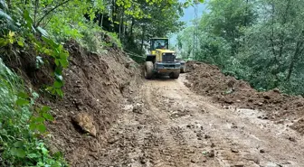 Trabzon'da Şiddetli Yağışlar Toprak Kaymalarına Neden Oldu