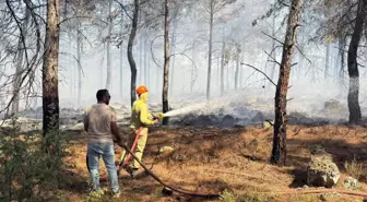 Antalya'da Orman Yangınına Hızlı Müdahale