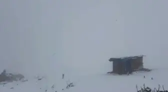 Ardahan'da Kar Yağışı Etkili Oldu