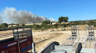 Çanakkale'de Orman Yangını: Ekipler Mücadele Ediyor