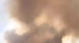 Hatay'da Zeytinlik Alanda Yangın Çıktı, Hızla Söndürüldü