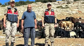 Kilis'te 100 Küçükbaş Hayvan 6 Saatlik Arama Sonunda Bulundu
