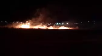 Adıyaman'da Korkutan Anız Yangını Kontrol Altına Alındı