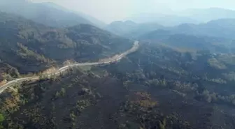 Muğla'daki Orman Yangını 63 Saat Sonra Kontrol Altına Alındı