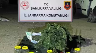 Şanlıurfa'da Jandarma Operasyonu: 13 Kilo Uyuşturucu Ele Geçirildi