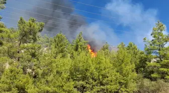 Antalya'da Orman Yangını Çıktı